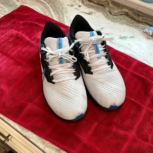 Nike Air Zoom Pegasus‎ 38